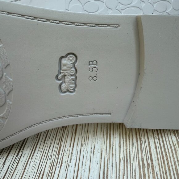 COACH Emilia Mary Jane 8.5 Ballet Flats Metallic Leather Silver Preppy New - Picture 11 of 11